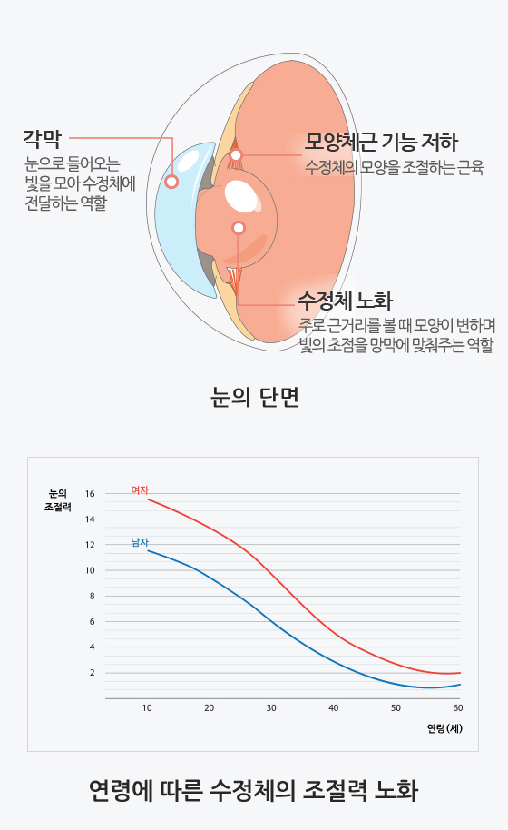 노안원인