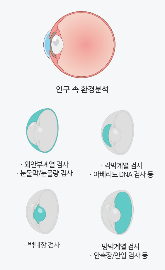 내부환경분석