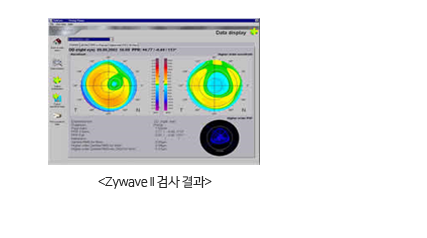Zyware II 검사 결과