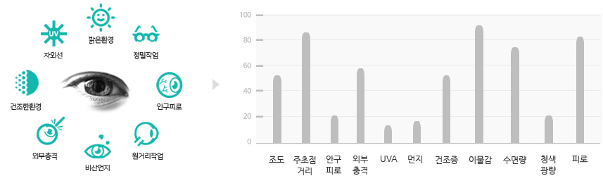 눈의외부환경분석